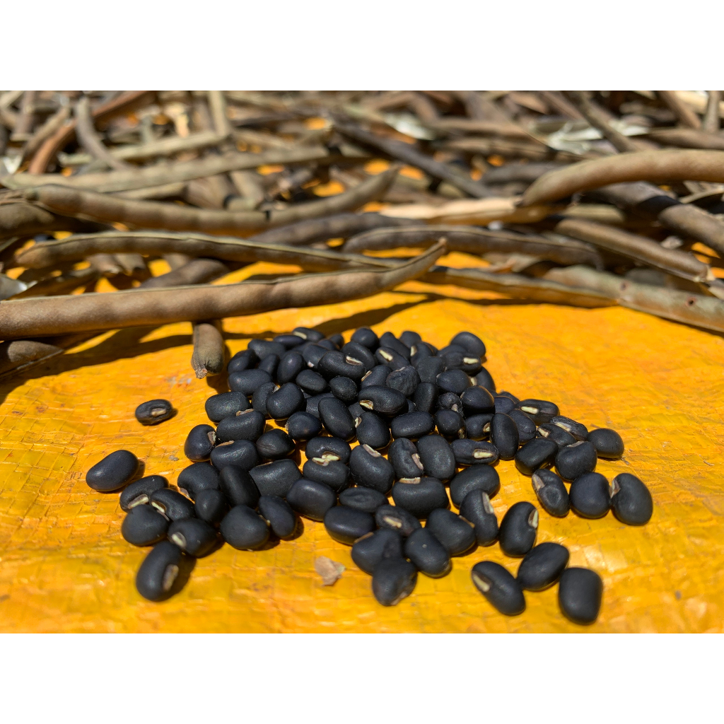 Đậu đen xanh lòng An Hòa gói 1000gr HSD 12 tháng