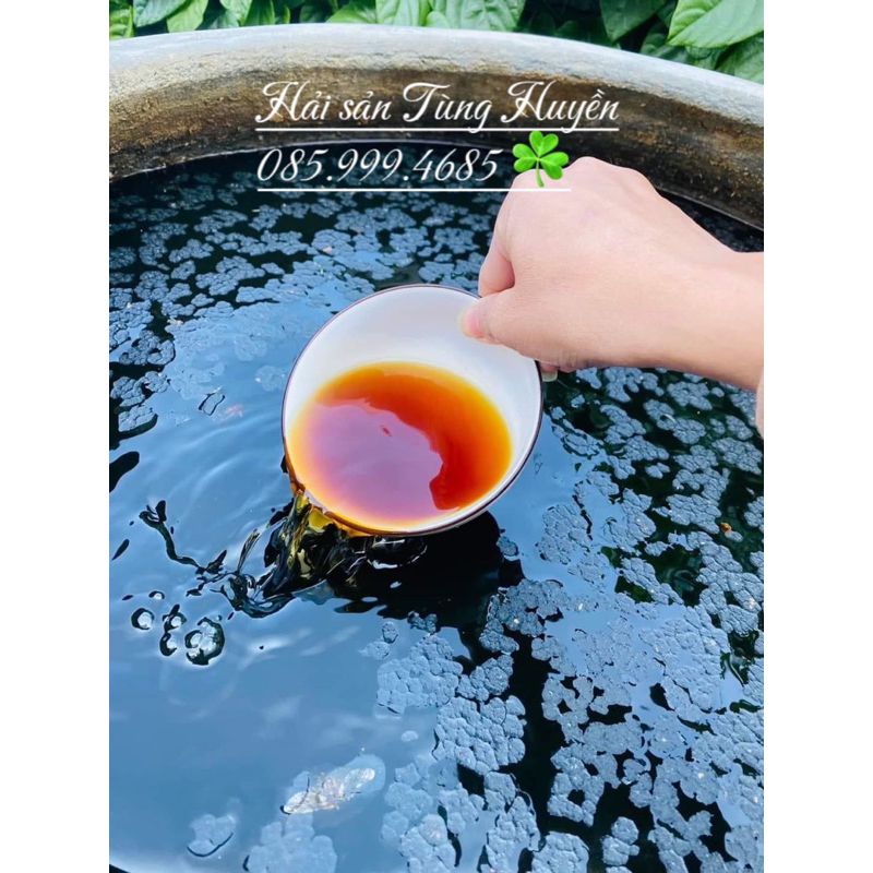 Nước mắm cốt truyền thống loại đặc biển muối 4 năm siêu thơm ngon, chấm mê ly, ngon hết ý, đảm bảo VSATTP