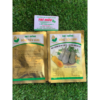 Hạt giống bí đỏ hồ lô lai f1-super dream 59 11g