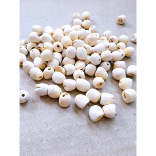Hạt sen khô loại 1 thơm, bở (Gói 200g - 500g hút chân không)