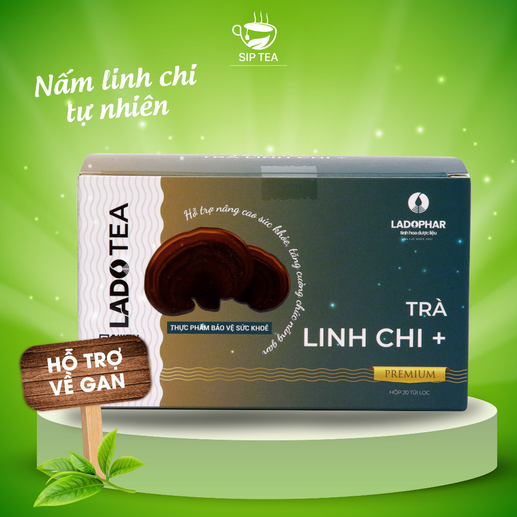 Trà túi lọc linh chi thảo mộc LADOPHAR tăng cường hệ miễn dịch bồi bổ cơ thể (Hộp 20 túi)