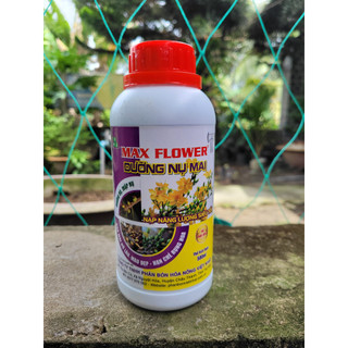 Phân bón lá dưỡng nụ mai giúp mai vàng mập nụ, nở lâu, màu đẹp chai 500ml