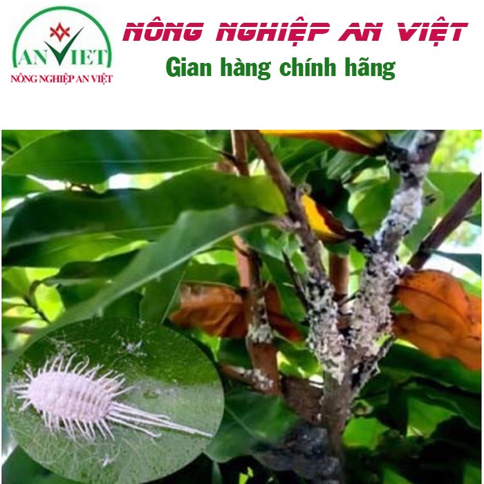 Đặc hiệu trừ Rệp Sáp trên mai vàng GammLin 25ml