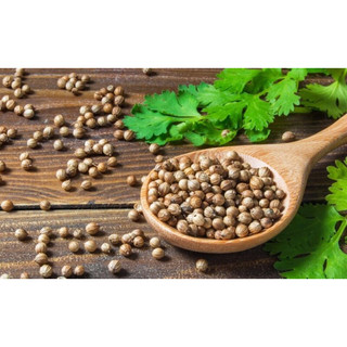 Hạt Mùi (Hạt Ngò) gói 50g-100g