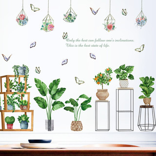 Decal dán tường kệ chậu cây dây treo HT