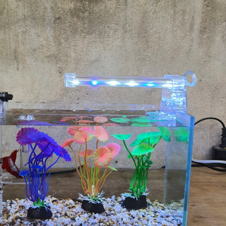 Đèn bể cá D10 dành cho bể cá mini để bàn