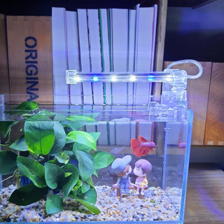 Đèn bể cá D10 dành cho bể cá mini để bàn