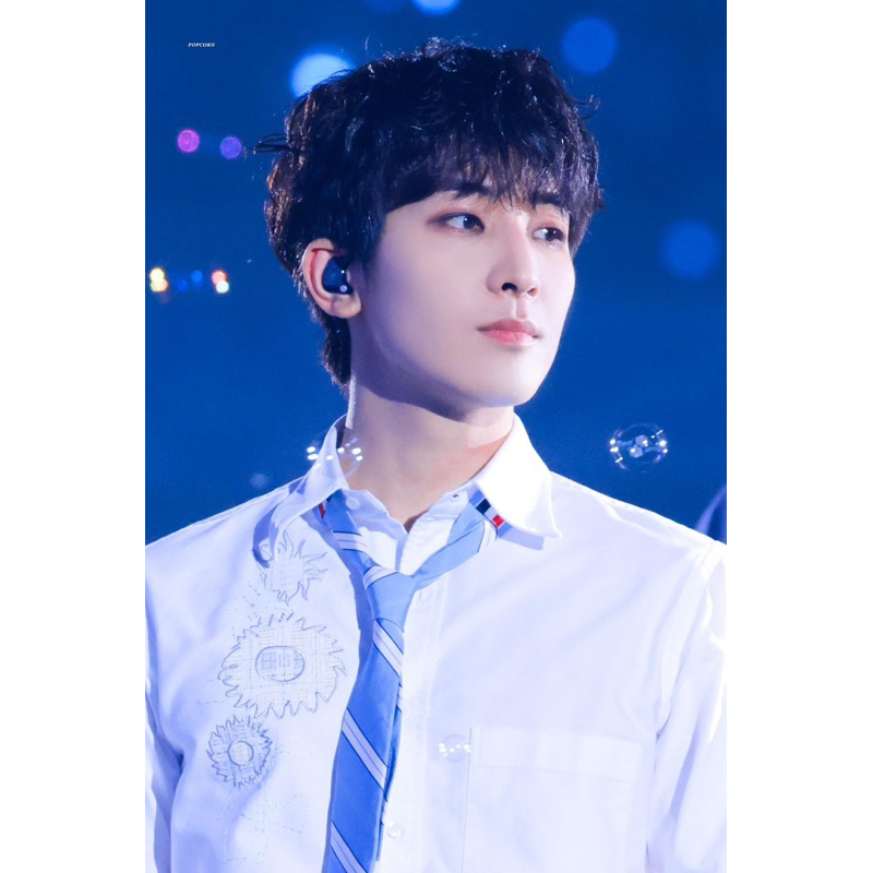 Thẻ card bo góc chính hãng Seventeen