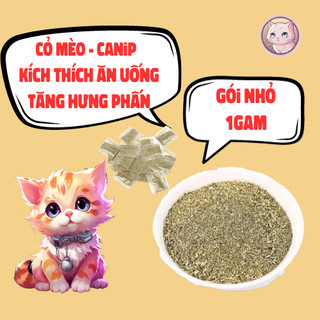 Cỏ mèo bạc hà catnip giúp phê pha xả stress, cỏ mèo, cỏ cho mèo