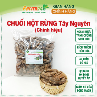 [1kg] Chuối hột rừng Tây Nguyên tốt cho người bị gout, giảm đau lưng nhức mỏi, ổn định đường huyết | Farm24h