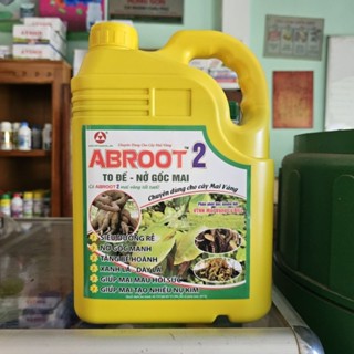Abroot 2 To Đế Nở gốc Mai 5lit