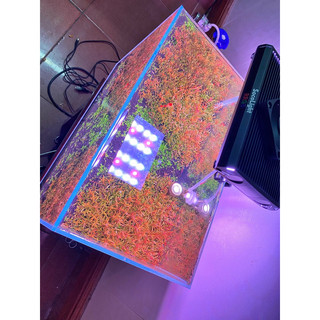 Đèn Led Bể Cá Nano Soco Light RRGB App