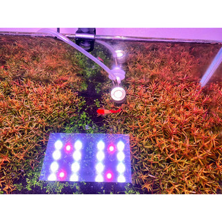 Đèn Led Bể Cá Nano Soco Light RRGB App