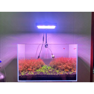 Đèn Led Bể Cá Nano Soco Light RRGB App
