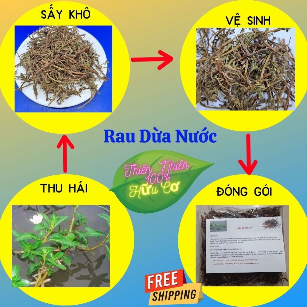 RAU DỪA NƯỚC- loại 1, làm sạch sấy khô