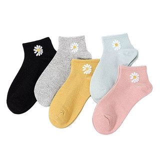 Sỉ 10 đôi tất nữ cổ ngắn hoa cúc, tất nữ cotton họa tiết hoa cúc