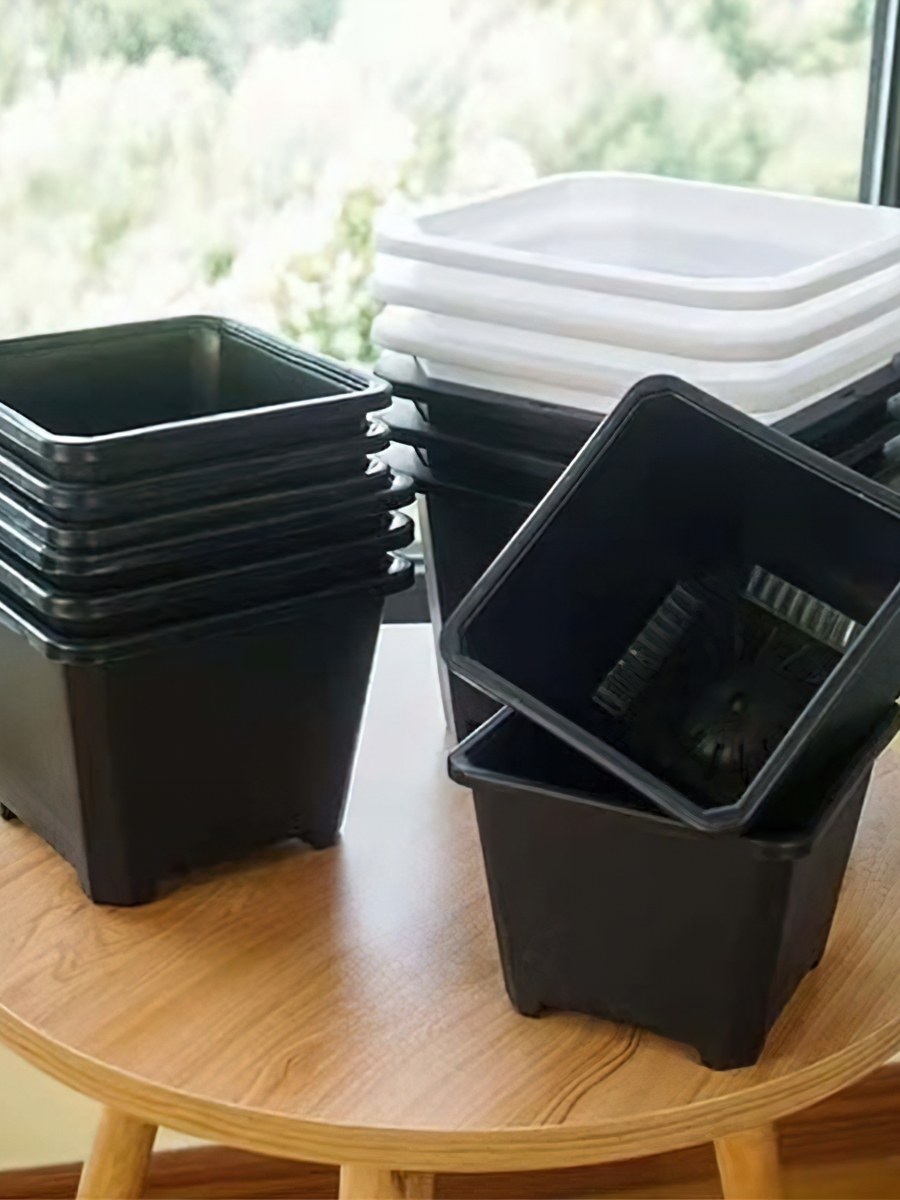Chậu nhựa vuông cứng đen trắng mini trồng sen đá và xương rồng nhiều size GIOVA