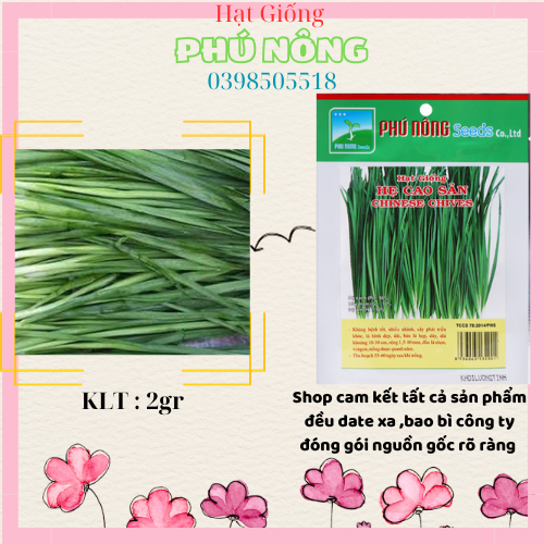 Hạt Giống Hẹ Cao Sản, Chất Lượng Cao Phú Nông - Gói 2gr