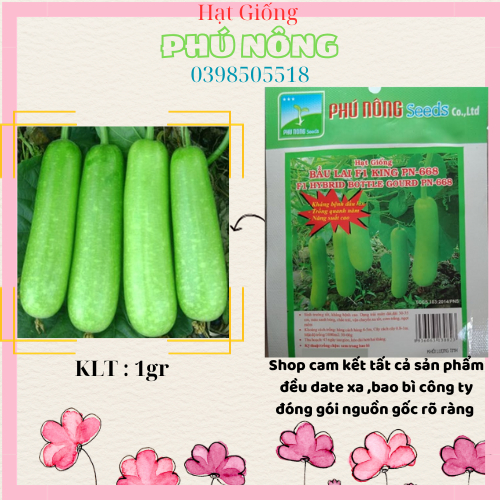 Hạt Giống Bầu Lai F1 King PN-668 - Gói 1g