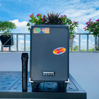 Loa kéo temeisheng a8-2t - loa kéo di động bass 2 tấc - tặng kèm 1 micro không dây - công suất lên đến 250w - đầy đủ kn