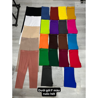 FREESIZE Quần lửng dưới gối legging thun thái lan (hàng RAINBOW)