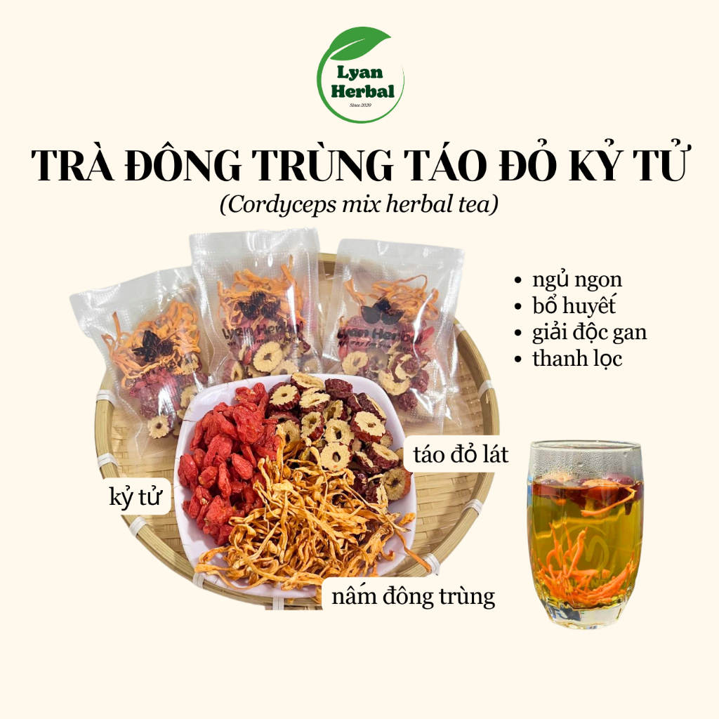 trà đông trùng táo đỏ kỷ tử trà thảo mộc bồi bổ khí huyết bổ sung dinh dưỡng bổ máu dể ngủ ngon hơn đẹp da giữ dáng