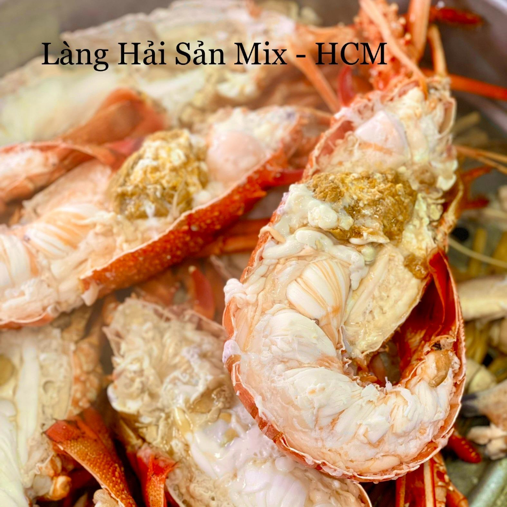 Tôm Hùm Úc Size 800-1.2kg/1con -  Làng Hải Sản Mix-Official