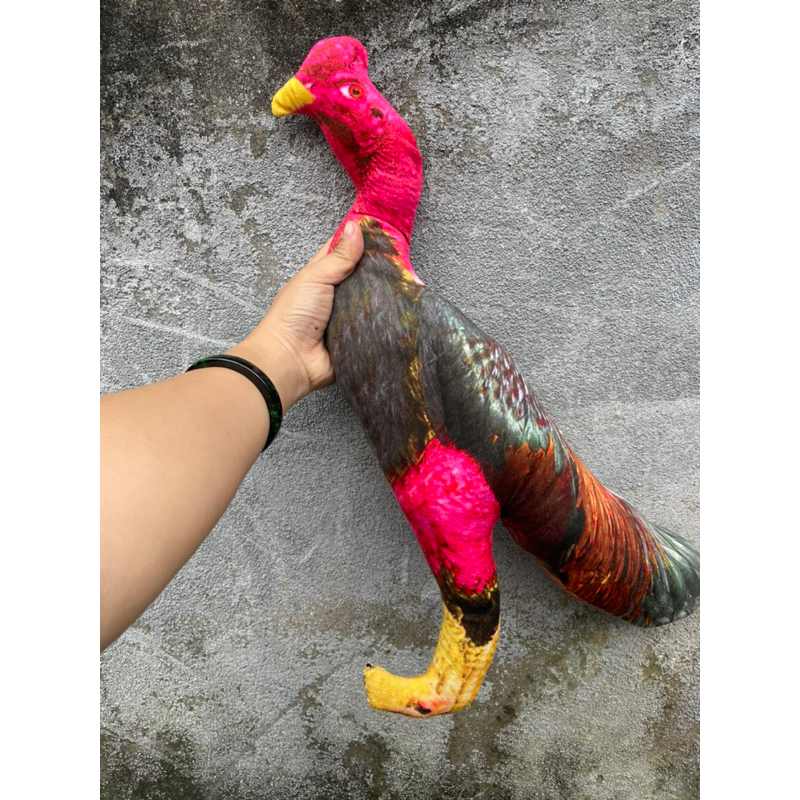 Gà bông , gà giả 5D tập lực