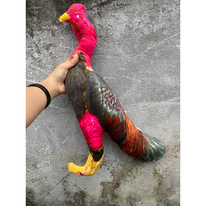 Gà bông , gà giả 5D tập lực