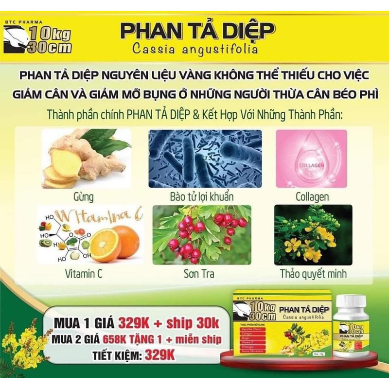 Xổ Mỡ Giảm Cân PHAN TẢ DIỆP - xổ mỡ vành ruột -Giảm 5-10kg dành cho cơ địa khó giảm Kèm Thẻ Bảo Hành (Hàng chính hãng)