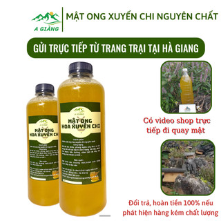 Mật ong rừng nguyên chất hoa dại Hà Giang, mật ong xuyên chi Hà giang chai 500ml