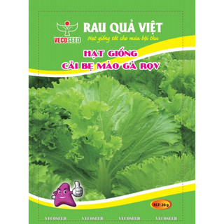 Hg cải bẹ mào gà rqv