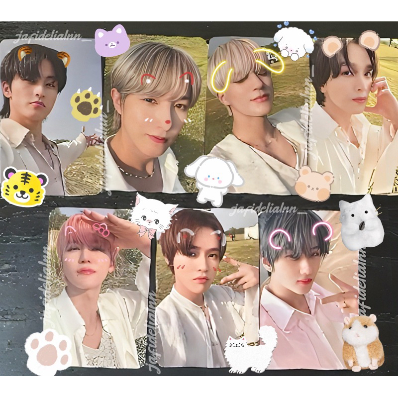 CARD NCT DREAM MUMO JAPAN 🐯🦊🐶🐻🐱🐬🐹