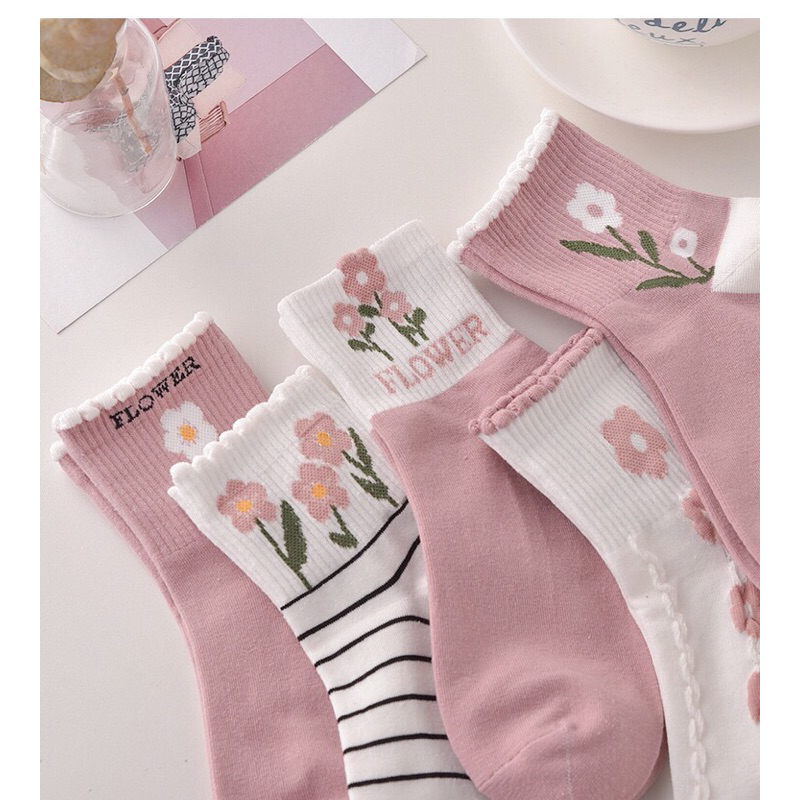 Set 5 đôi cao cổ dễ thương