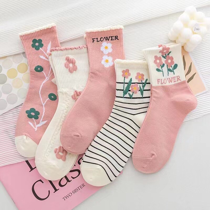 Set 5 đôi cao cổ dễ thương