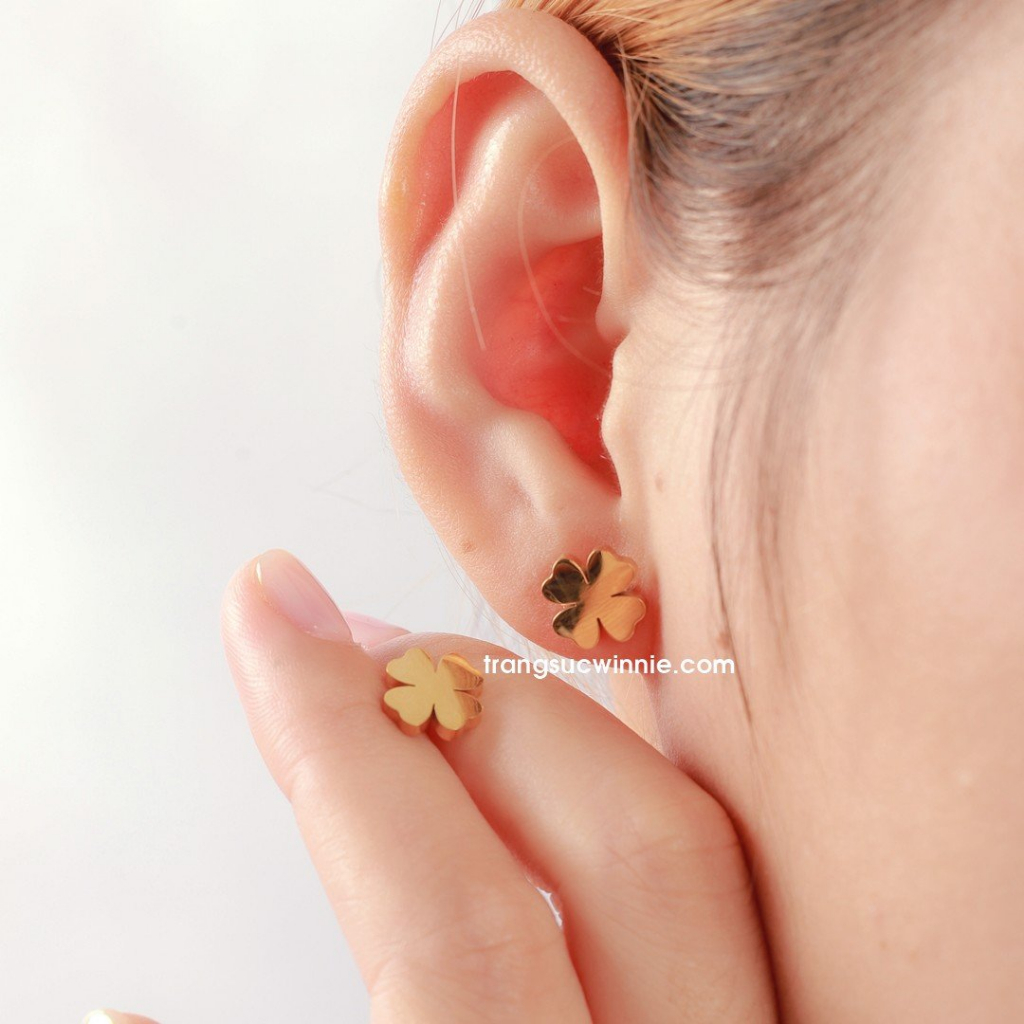 Hoa tai nữ titan Clover