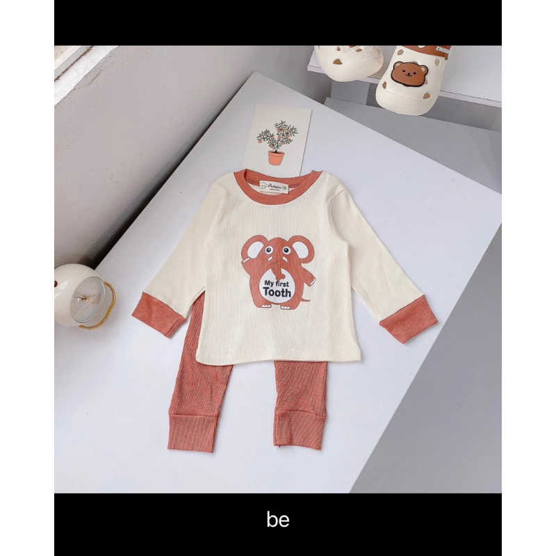 Bộ quần áo gân tăm pekapoo xịn đẹp cho bé sale lẻ size