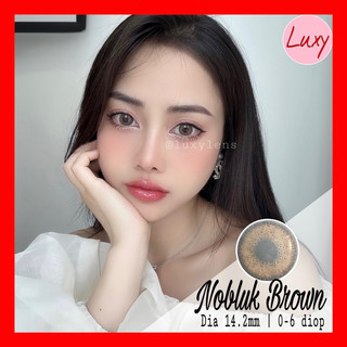 [ Ảnh Thật ] (Giá 1 chiếc) Lens Nobluk Brown 0-6 Độ 14,2mm LUXY LENS HÀN QUỐC CHÍNH HÃNG - KÍNH ÁP TRÒNG CAO CẤP