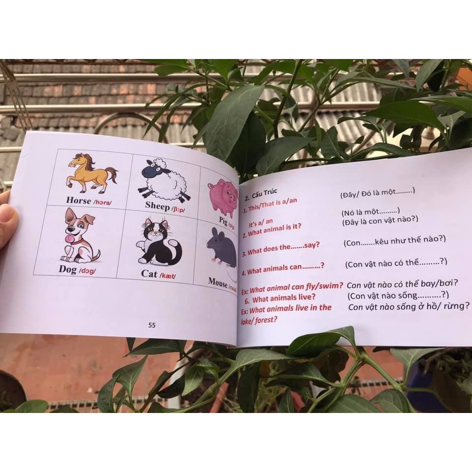 Sách - Đồng hành Tiếng Anh với con tại nhà + File nghe Mp3