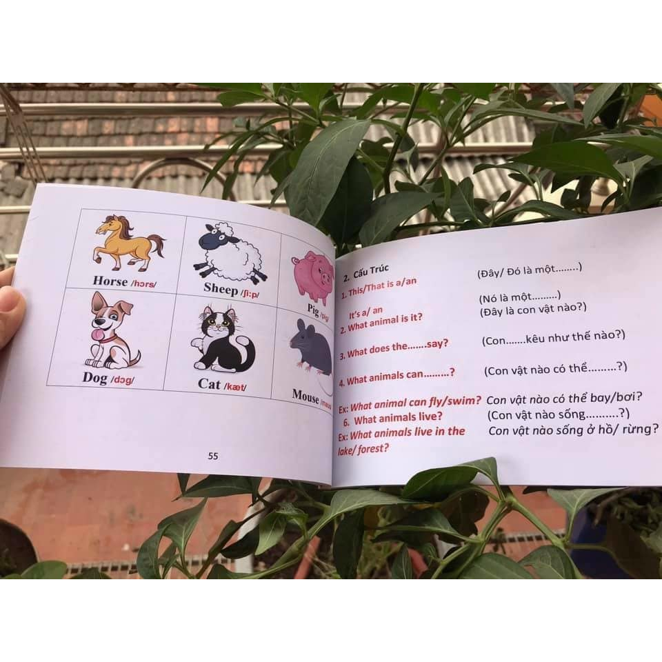 Sách - Đồng hành Tiếng Anh với con tại nhà + File nghe Mp3