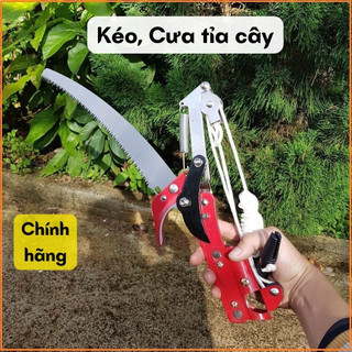Kéo cắt cành, kéo tỉa cành trên cao, kết hợp với lưỡi cưa cắt cành, cưa tỉa cành cây cao, hái quả tiện lợi