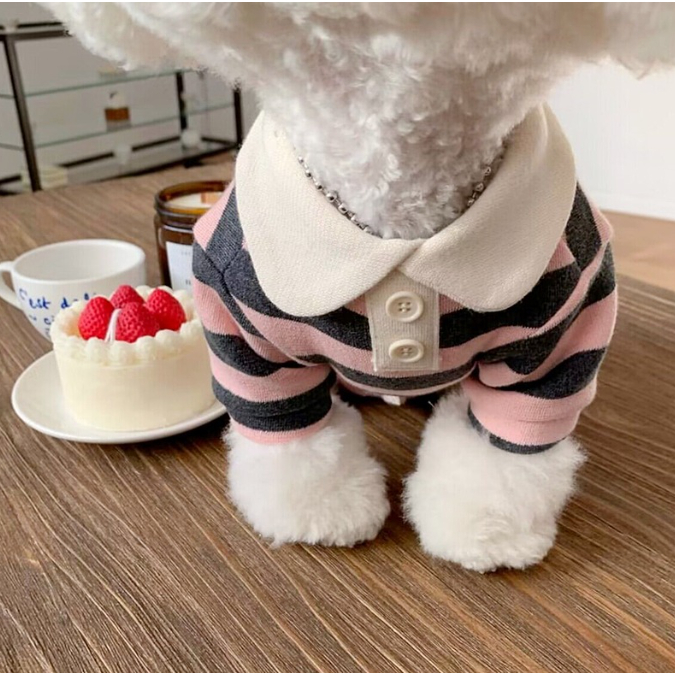 ÁO THUN POLO KẺ SỌC XINH XẮN MÙA THU CHO THÚ CƯNG