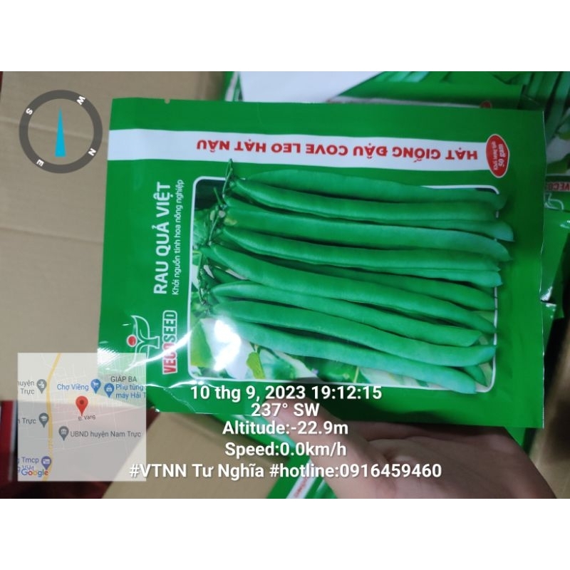 Hạt giông Đậu cove leo nâu RQV