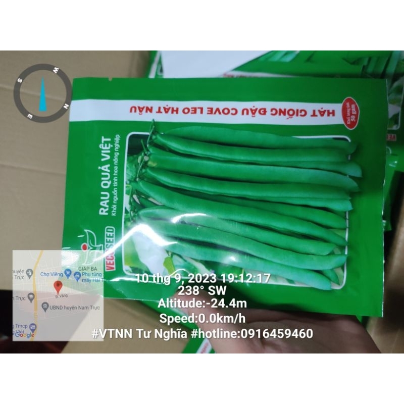 Hạt giông Đậu cove leo nâu RQV