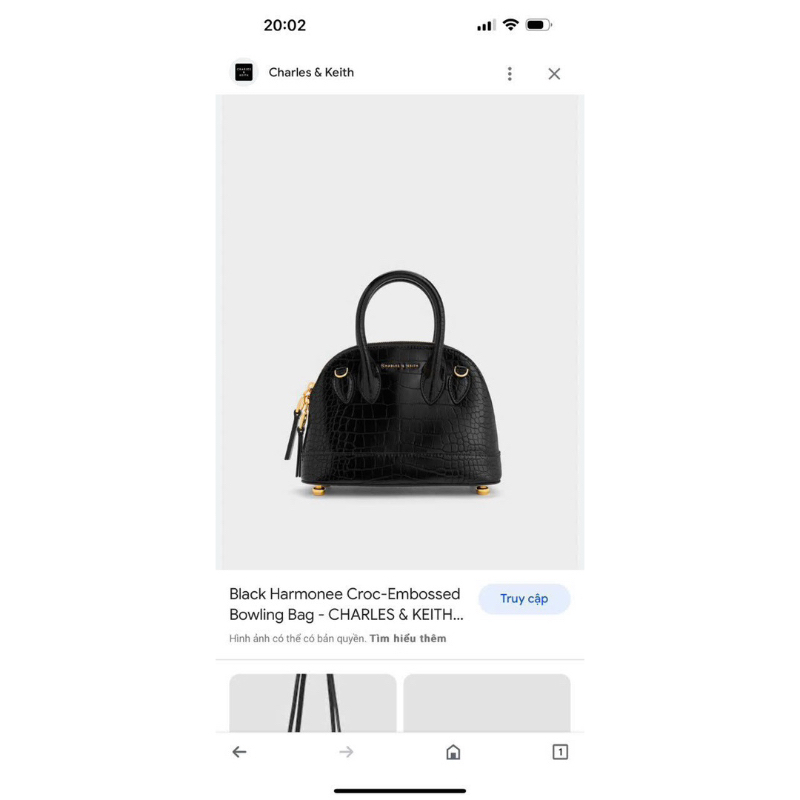 Túi charles keith dáng hến nữ