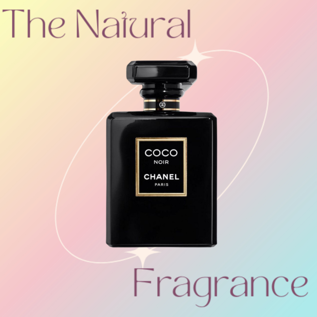 [𝐀𝐮𝐭𝐡] Nước hoa Nữ Coco Noir EDP