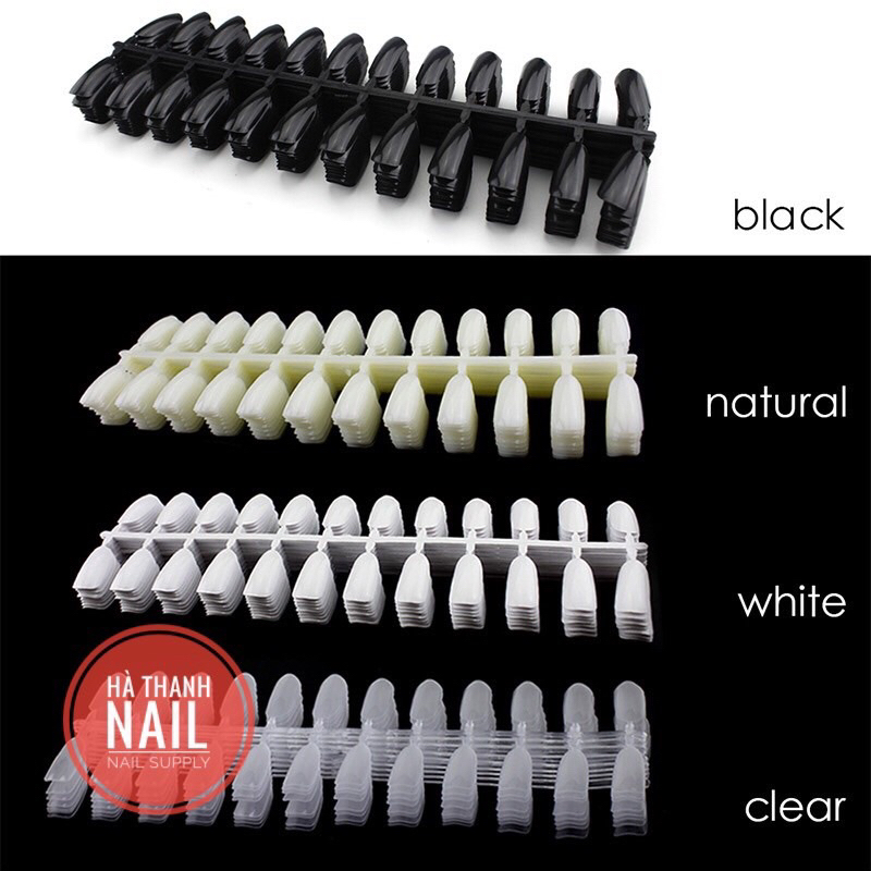 Móng vỉ tập vẽ nails tròn bầu