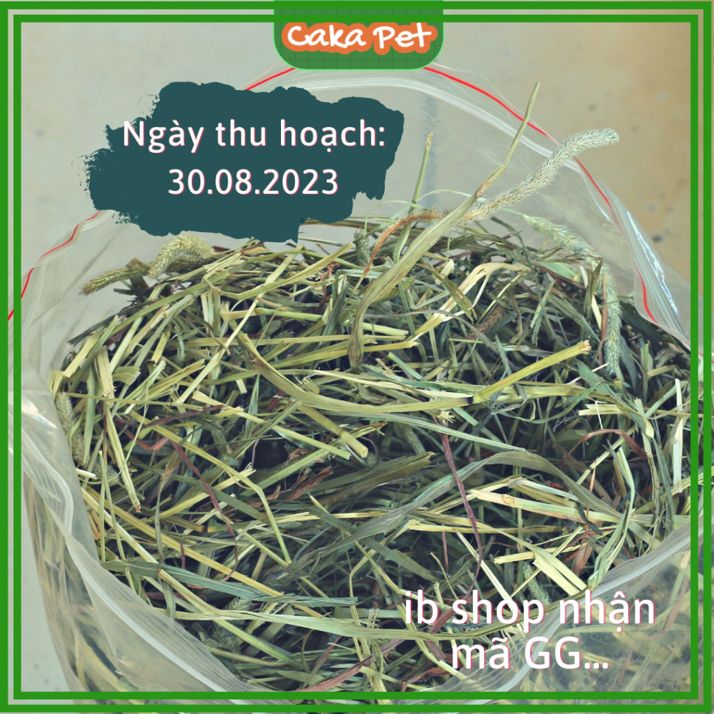 Cỏ khô Timothy nhiều lá, bông ngon cho chuột lang, thỏ, sóc, chinchilla 🐰ANDESON 𝙇𝙤𝙖̣𝙞 1 𝙩𝙝𝙤̛𝙢 𝙢𝙚̂̀𝙢, 𝙭𝙖𝙣𝙝🐹 túi ~520gr