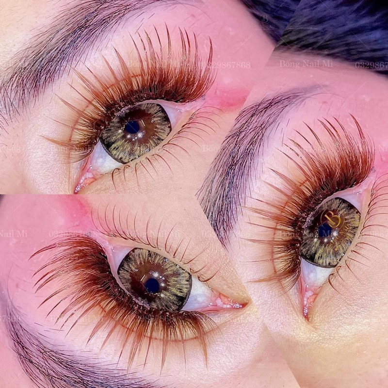 Lens Tommy brown (kèm khay đơn) Mua 3c tặng khay dụng gương dụng cụ
