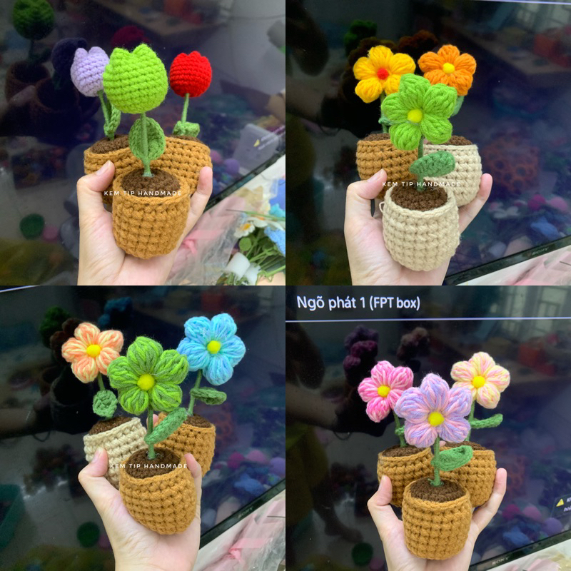 Chậu hoa mini bằng len móc tay nhiều mẫu